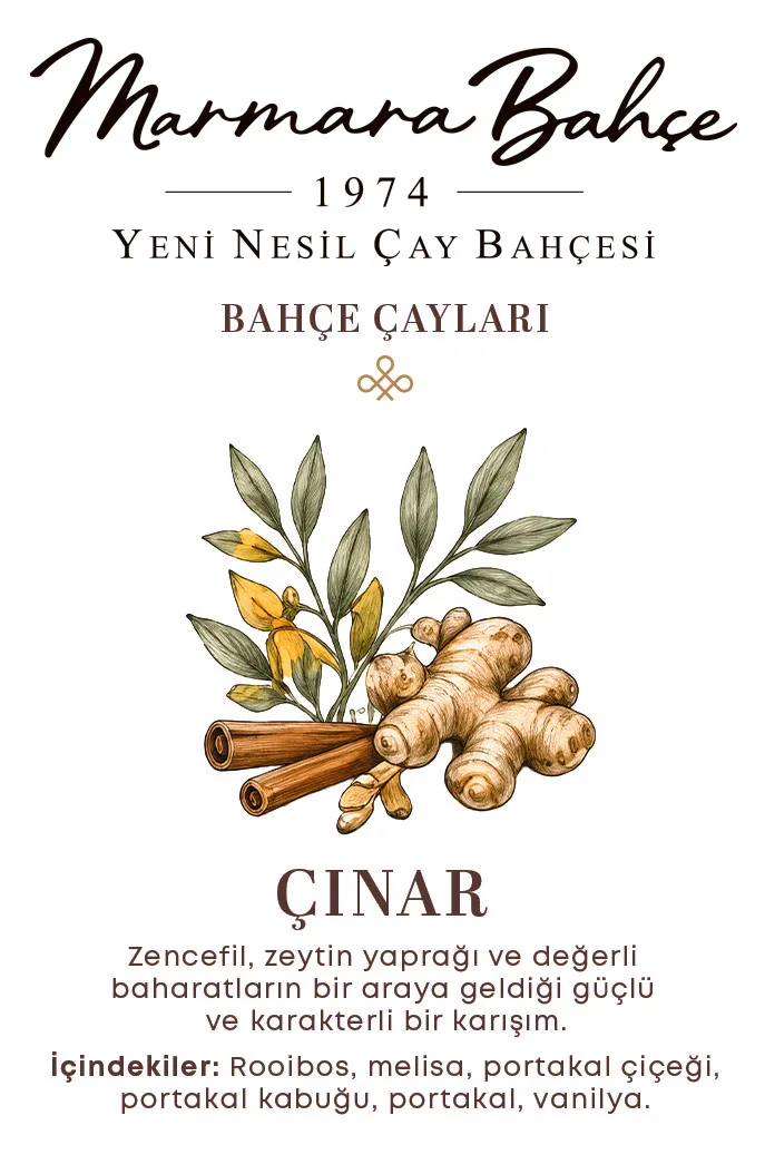 Çınar: Zencefil, zeytin yaprağı ve değerli baharatların bir araya geldiği güçlü ve karakterli bir karışım. İçindekiler: rooibos, melisa, portakal çiçeği, portakal kabuğu, portakal, vanilya.